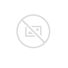 SCRIPT CASSINO VIZZION PRO V2